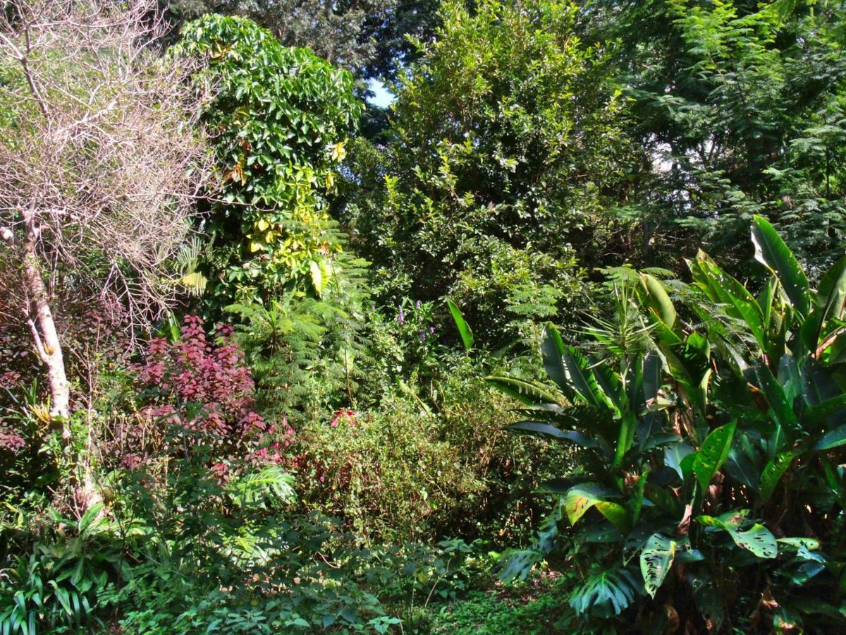 Hotel Curitiba Campo Comprido Buitenkant foto