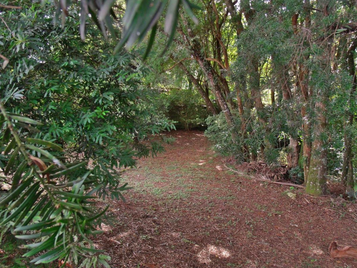 Hotel Curitiba Campo Comprido Buitenkant foto